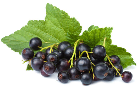 Black Currant Balsamic Vinegar