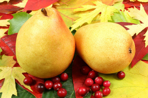 Cranberry Pear White Balsamic Vinegar